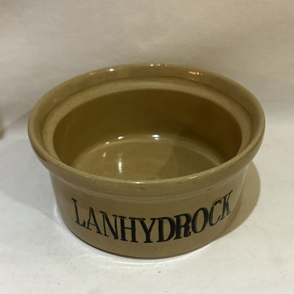 VTG Pearsons Chesterfield 1810 England Stoneware Lanhydrock Bowl National Trust